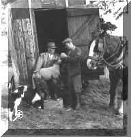The Icklingham Head Shepherd