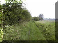 erisw003.jpg (60250 bytes)