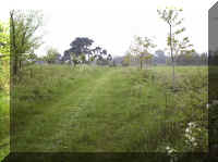 erisw005.jpg (52633 bytes)