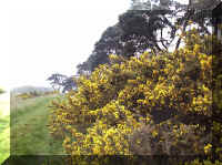 erisw009.jpg (74945 bytes)