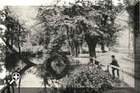 exningstream.jpg (130354 bytes)