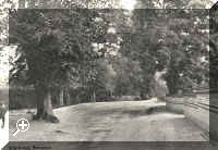 stream.jpg (146926 bytes)