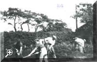  > Simply click to enlarge... then use the [Back] button to return