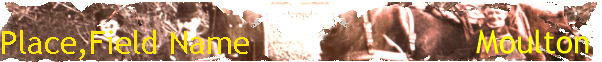 Place,Field Name