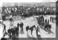 Moulton Point to Point - Folly Hill about 1955  > Simply click to enlarge... then use the [Back] button to return