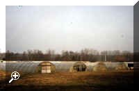 the old nursery, courtesy of the Forestry Commission > Simply click to enlarge... then use the [Back] button to return