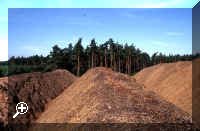 sd12.jpg courtesy of Forestry Commission > Simply click to enlarge... then use the [Back] button to return