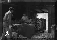 work1.jpg (133316 bytes) > Simply click to enlarge... then use the [Back] button to return